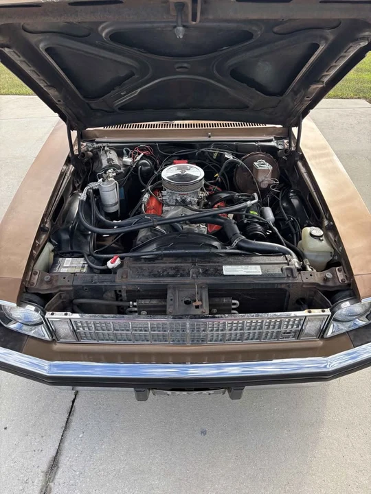 1976 Chevrolet Nova 4th Gen - Image 4 of 14