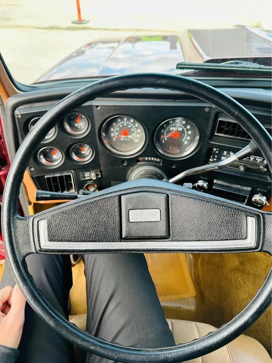 1976 Chevrolet C/K 3rd Gen - Image 13 of 19