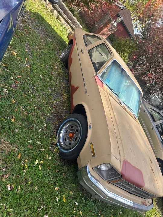 1976 Chevrolet Nova 4th Gen - Image 4 of 9