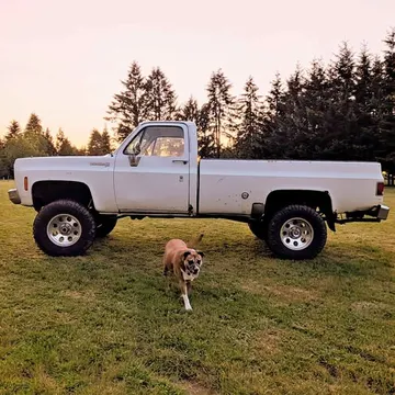 1976 Chevrolet C10 Square Body