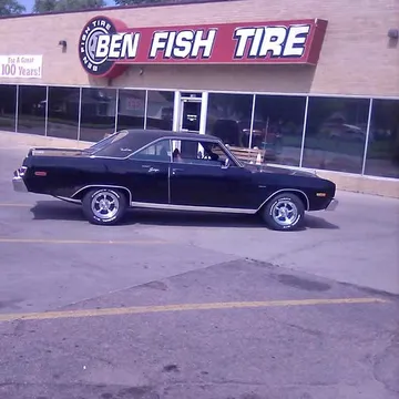 1976 Dodge Dart Swinger Special Edition