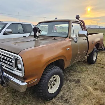 1976 Dodge W100