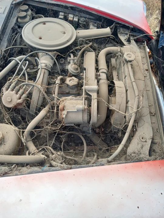 1976 Fiat 124 Sport Spider - Image 11 of 20