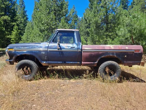1976 Ford F-100 Custom