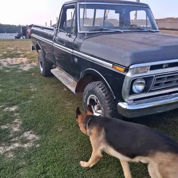 1976 Ford F-150 FX4 Pickup 4D 6 1/2 ft