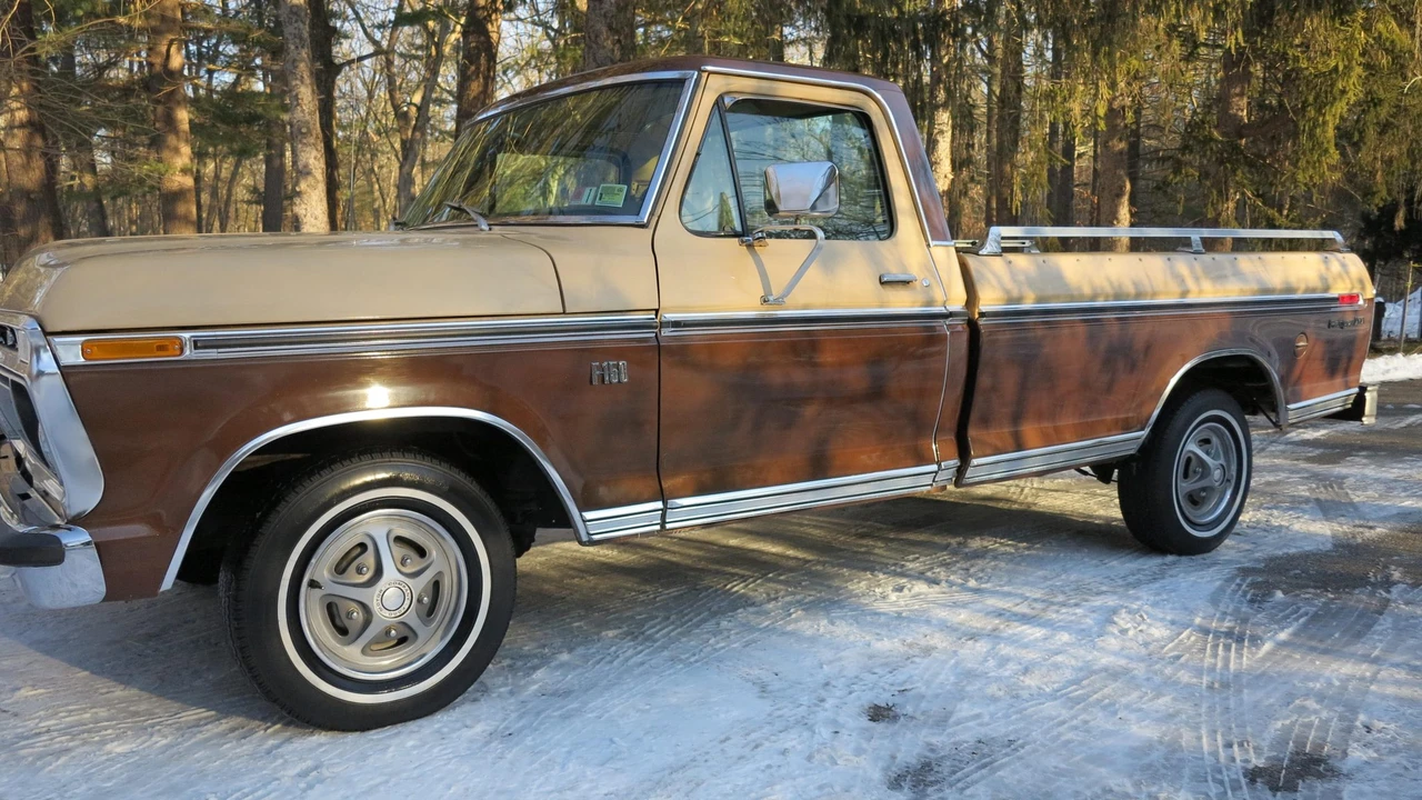 1976 Ford F-Series 5th Gen - Image 24 of 31