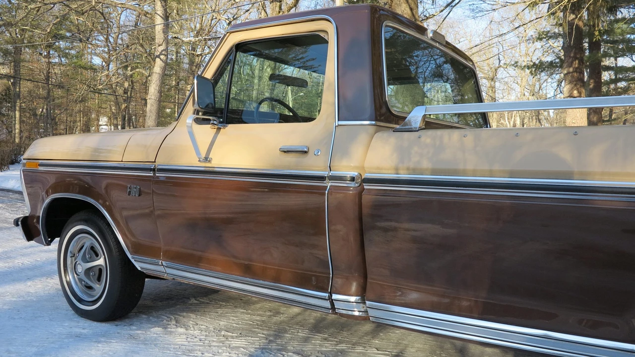 1976 Ford F-Series 5th Gen - Image 25 of 31