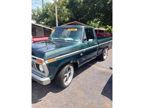 1976 Ford F100