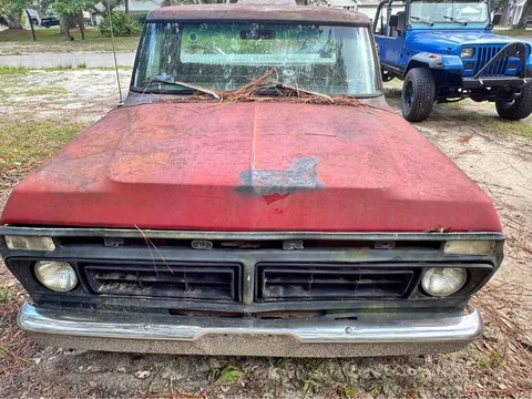 1976 Ford F100