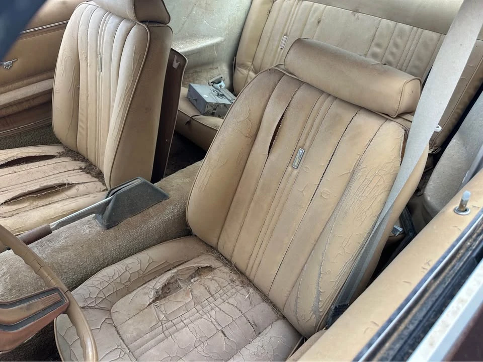 1976 Ford Mustang 2nd Gen - Image 6 of 11
