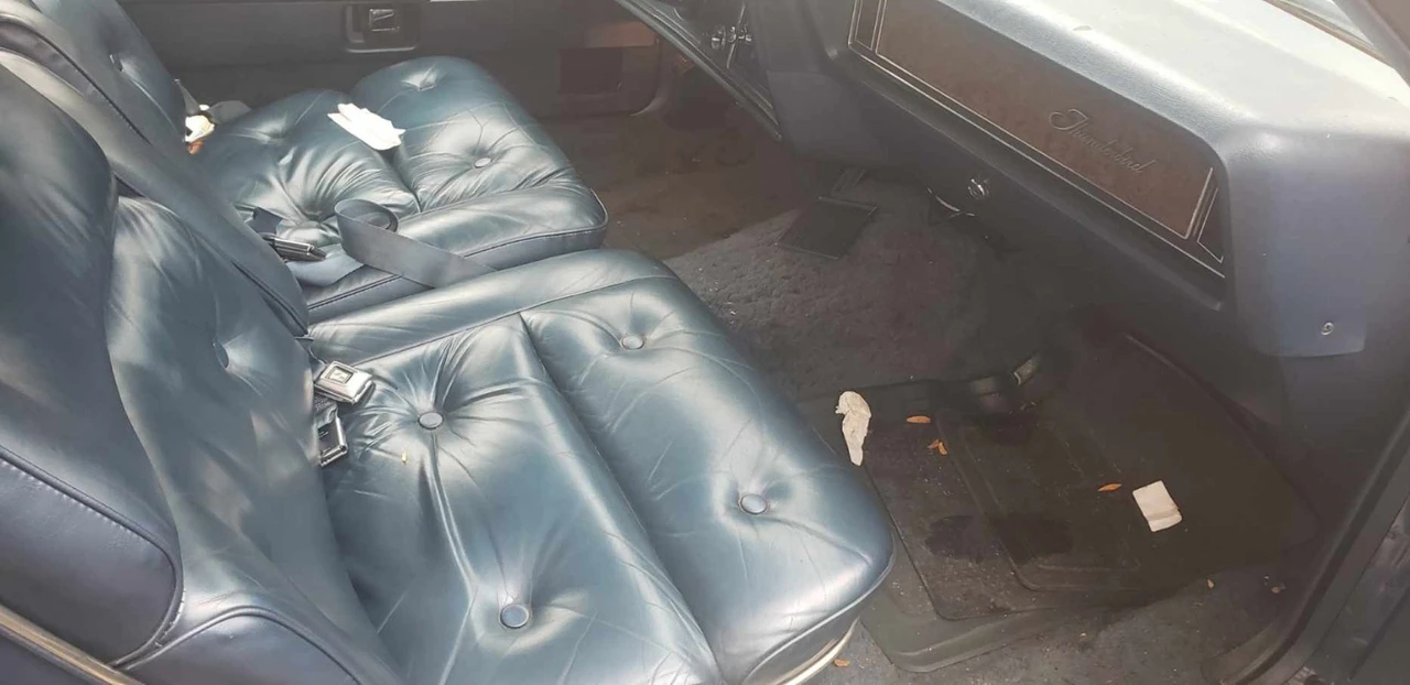 1976 Ford Thunderbird 5th Gen - Image 11 of 19