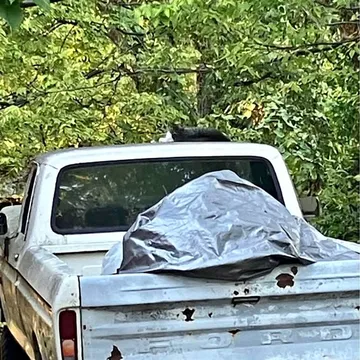 1976 Ford F100