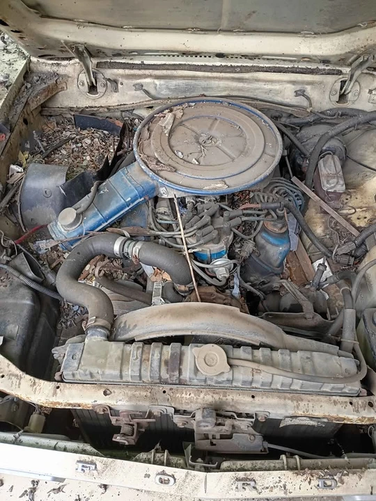 1976 Ford Mustang 2nd Gen - Image 6 of 6
