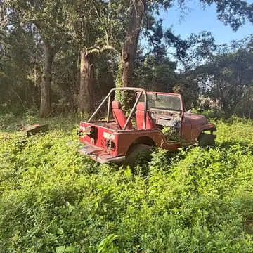 1976 Jeep CJ5