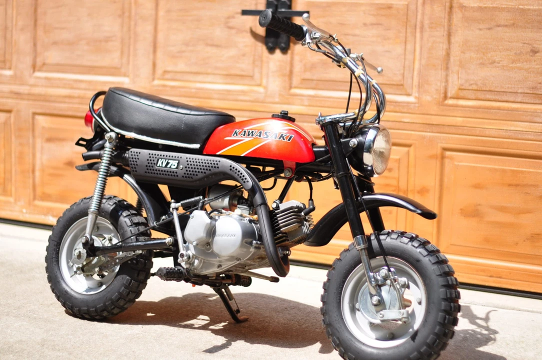 1976 Kawasaki - Image 9 of 31