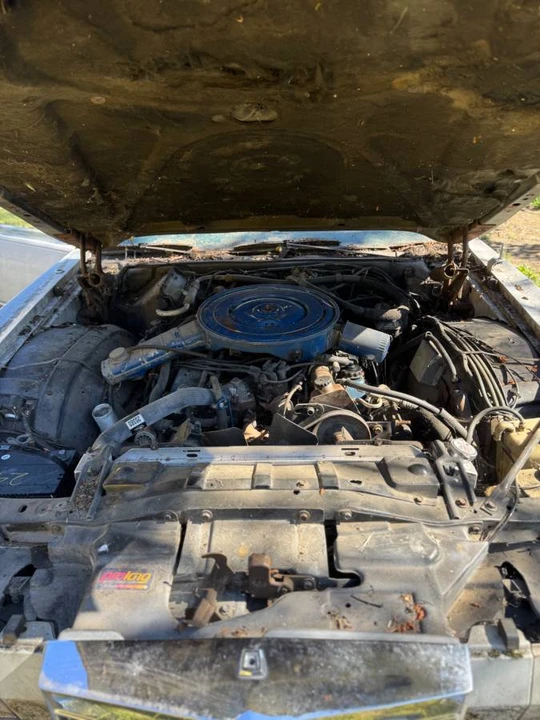 1976 Lincoln Continental 5th Gen - Image 12 of 13