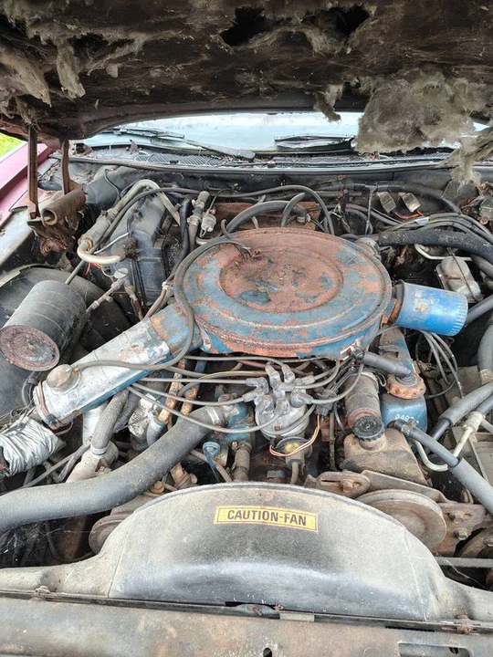 1976 Lincoln Continental 5th Gen - Image 3 of 10