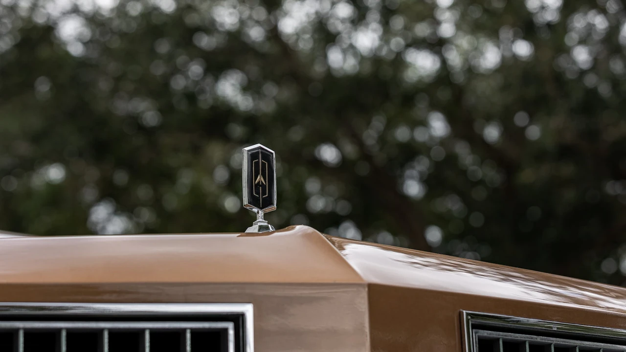 1976 Oldsmobile 98 - Image 13 of 31