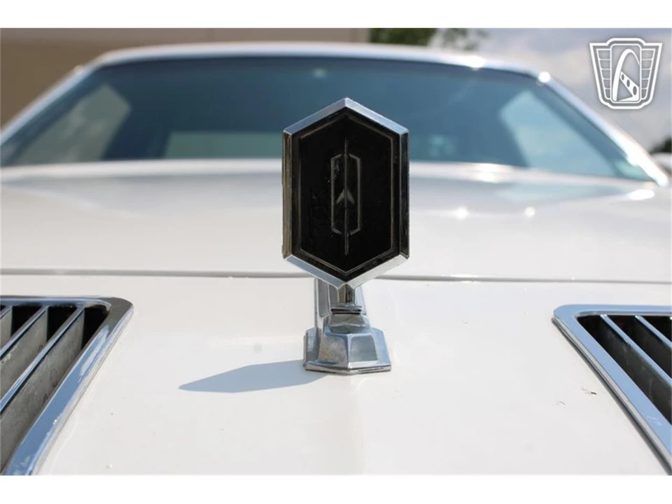 1976 Oldsmobile Cutlass 4th Gen - Image 29 of 31