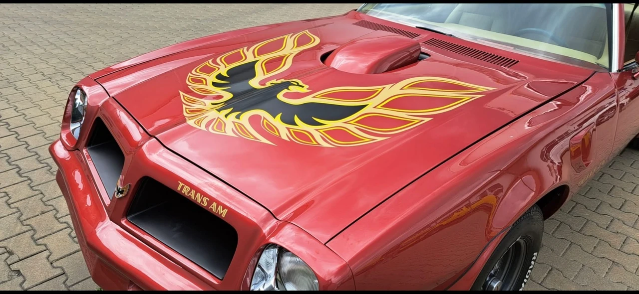 1976 Pontiac Firebird 2nd Gen - Image 8 of 21