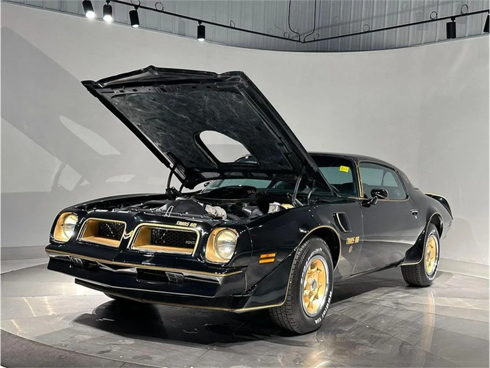 1976 Pontiac Firebird 2nd Gen - Image 31 of 31