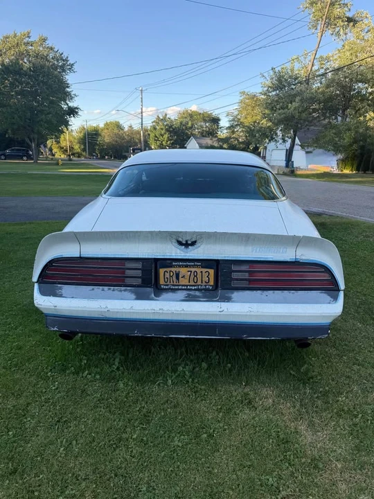 1976 Pontiac Firebird 2nd Gen - Image 3 of 8