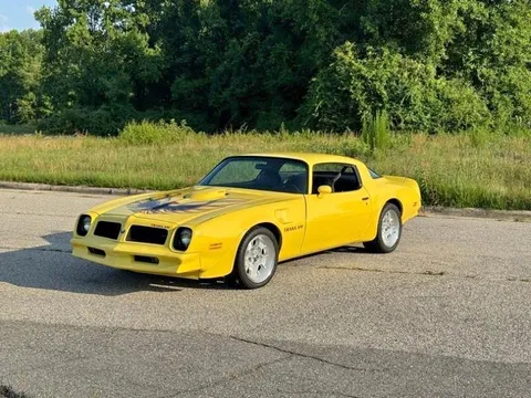 1976 Pontiac Firebird Trans Am Coupe