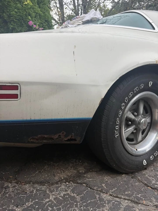 1976 Pontiac Firebird 2nd Gen - Image 10 of 12