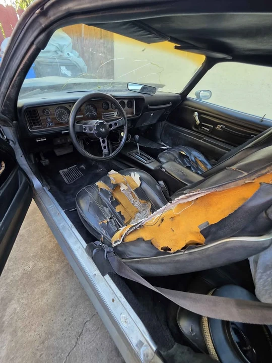 1976 Pontiac Firebird 2nd Gen - Image 3 of 15