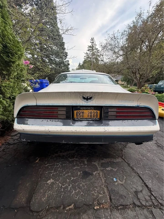 1976 Pontiac Firebird 2nd Gen - Image 8 of 12