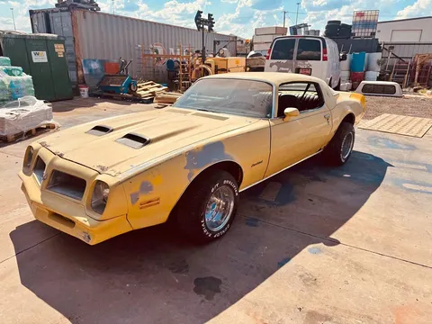 1976 Pontiac Firebird Coupe 2D