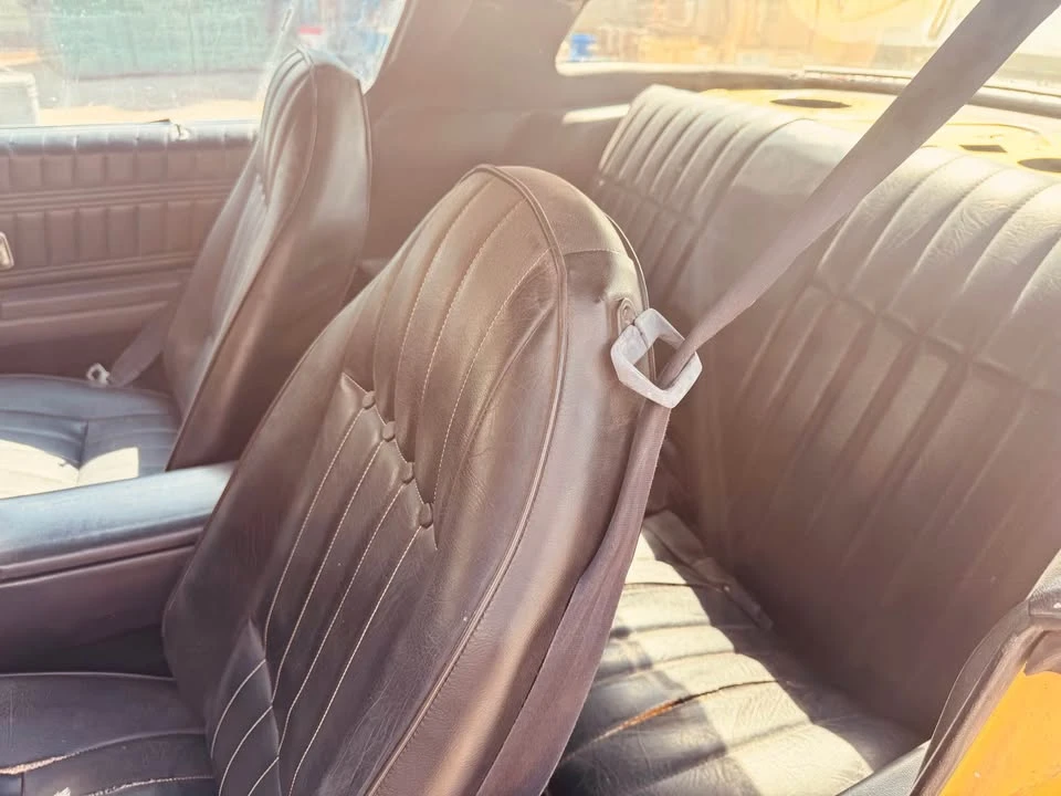 1976 Pontiac Firebird 2nd Gen - Image 9 of 10