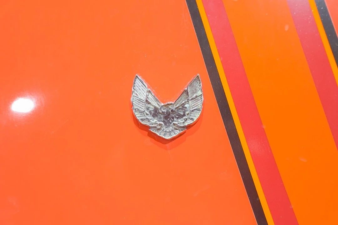 1976 Pontiac Firebird Esprit 2nd Gen - Image 28 of 31