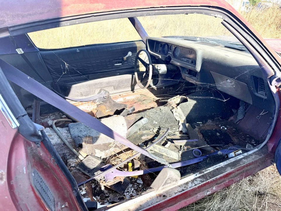 1976 Pontiac Firebird 2nd Gen - Image 6 of 6