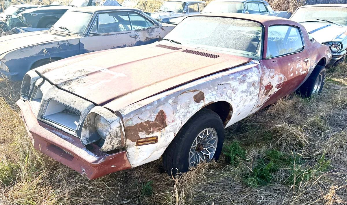 1976 Pontiac Firebird 2nd Gen - Image 2 of 6