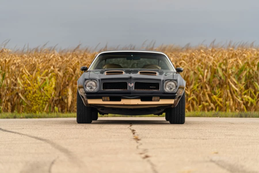 1976 Pontiac Firebird 2nd Gen - Image 4 of 22