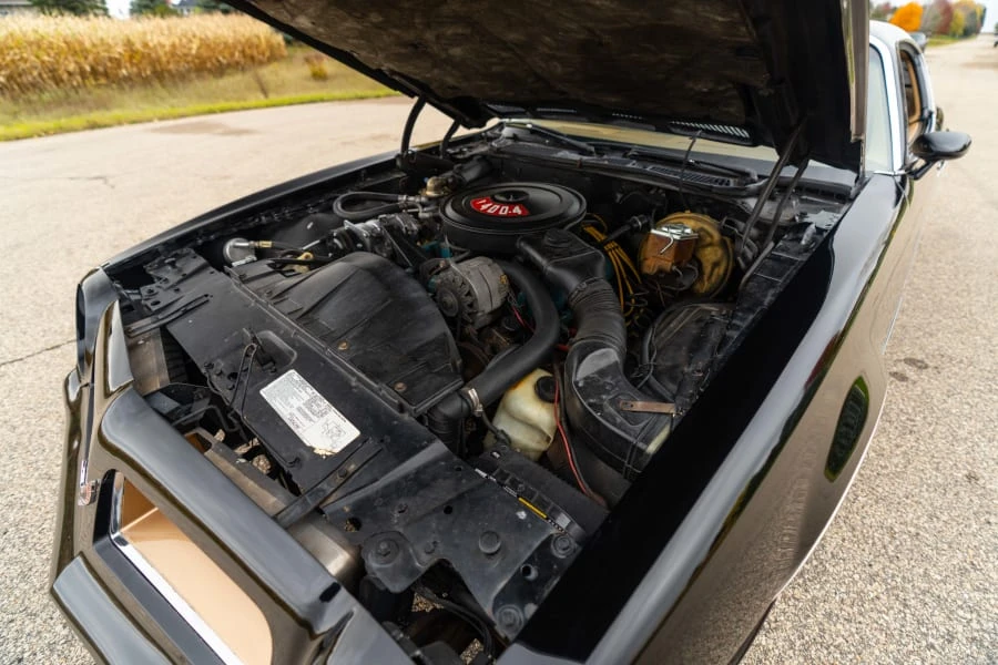1976 Pontiac Firebird 2nd Gen - Image 21 of 22