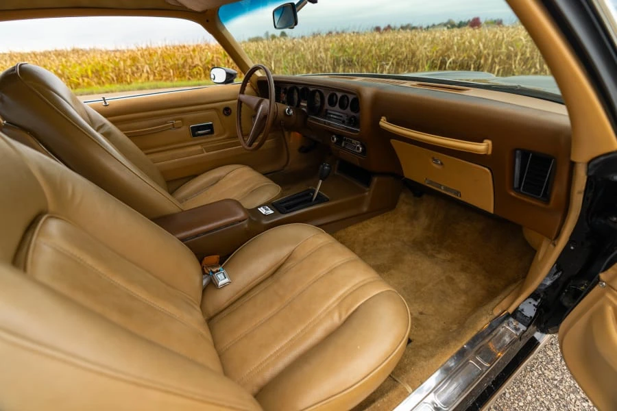 1976 Pontiac Firebird 2nd Gen - Image 15 of 22