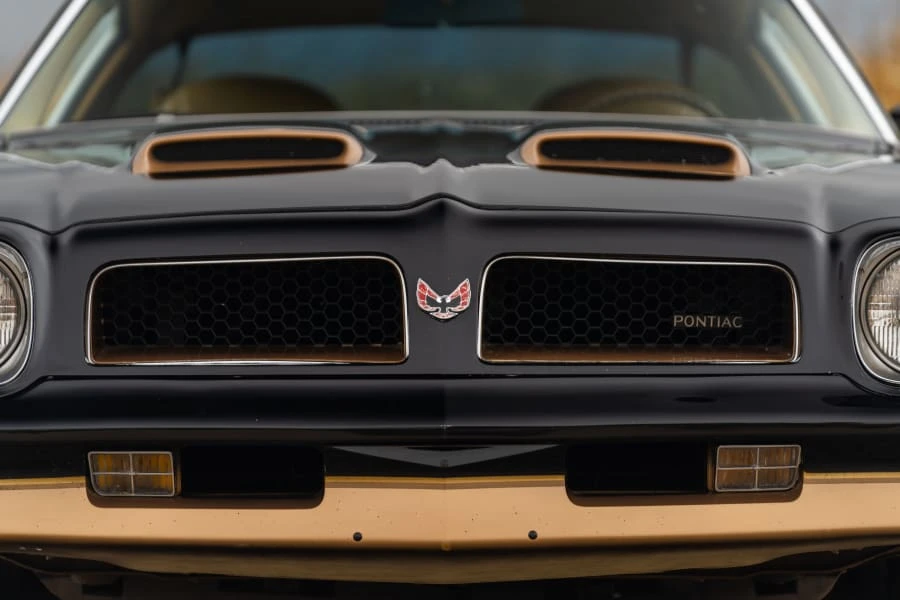 1976 Pontiac Firebird 2nd Gen - Image 8 of 22