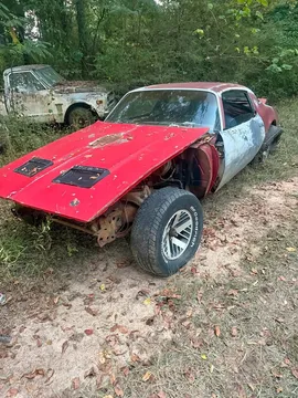 1976 Pontiac Firebird Formula Coupe 2D
