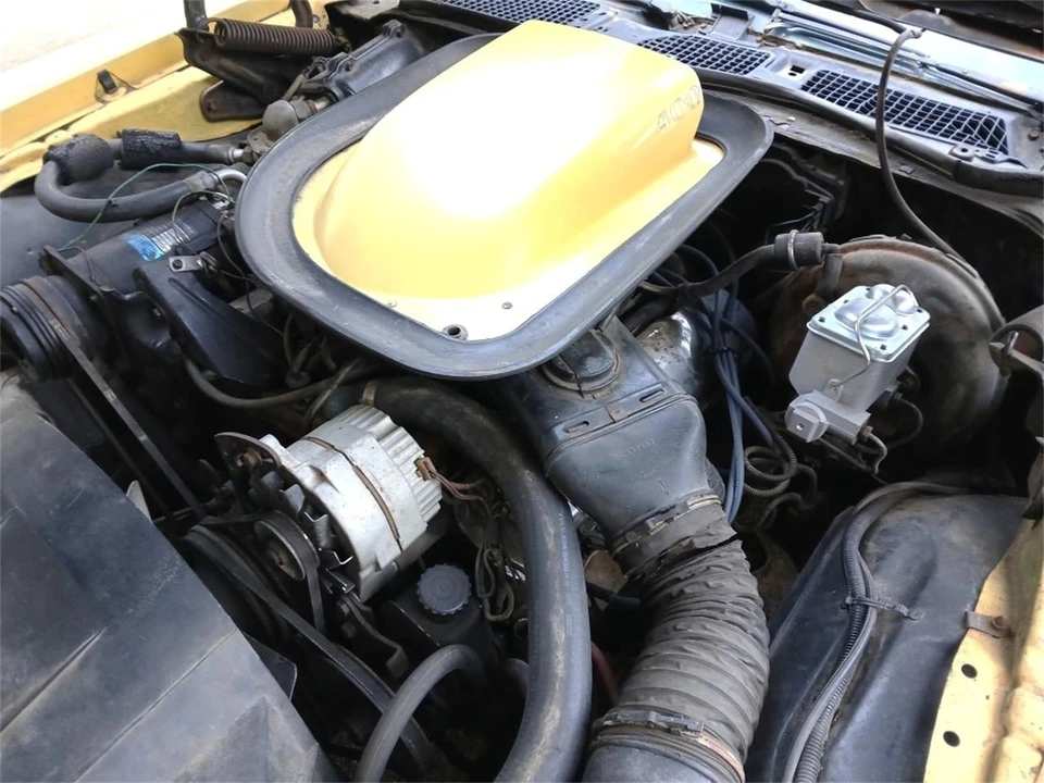 1976 Pontiac Firebird Trans Am 2nd Gen - Image 12 of 14