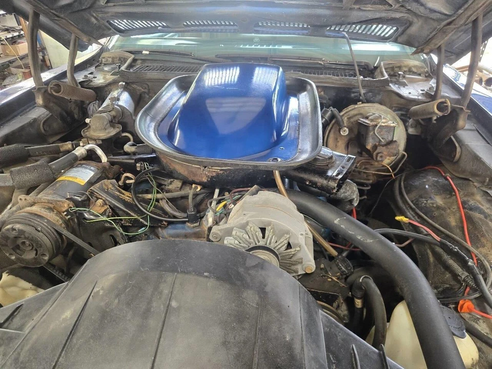 1976 Pontiac Firebird Trans Am 2nd Gen - Image 14 of 19