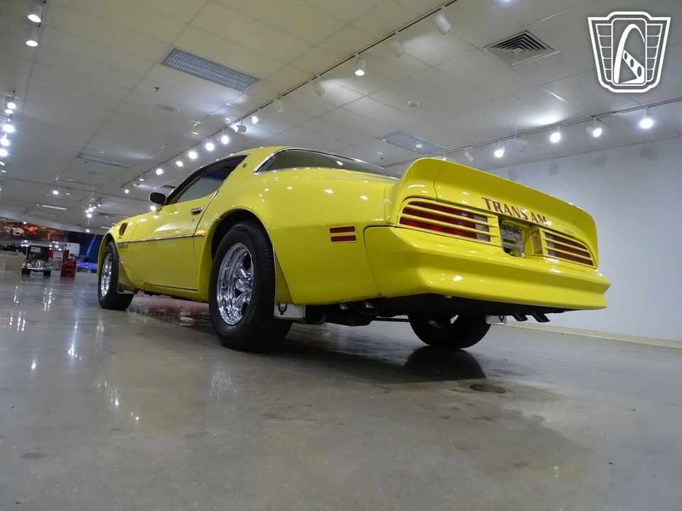 1976 Pontiac Firebird Trans Am 2nd Gen - Image 11 of 12