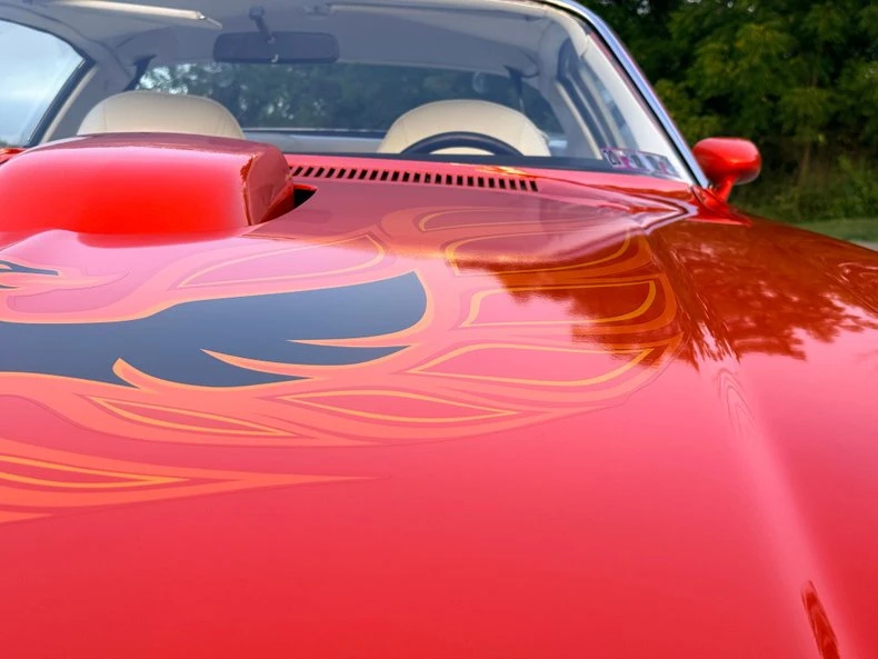1976 Pontiac Firebird Trans Am 2nd Gen - Image 22 of 31