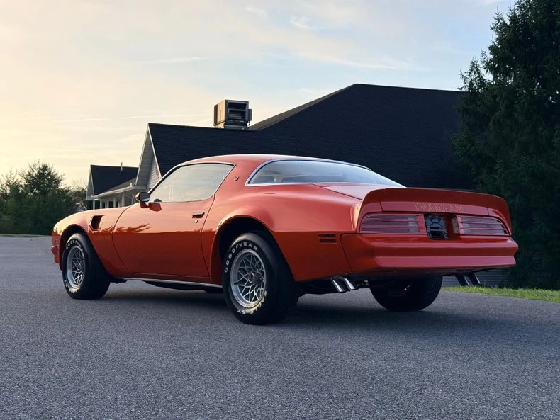 1976 Pontiac Firebird Trans Am 2nd Gen - Image 8 of 31