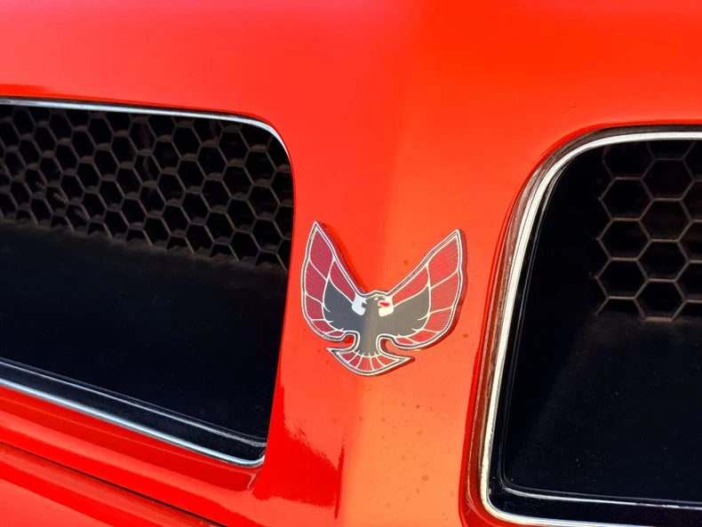 1976 Pontiac Firebird Trans Am 2nd Gen - Image 18 of 31