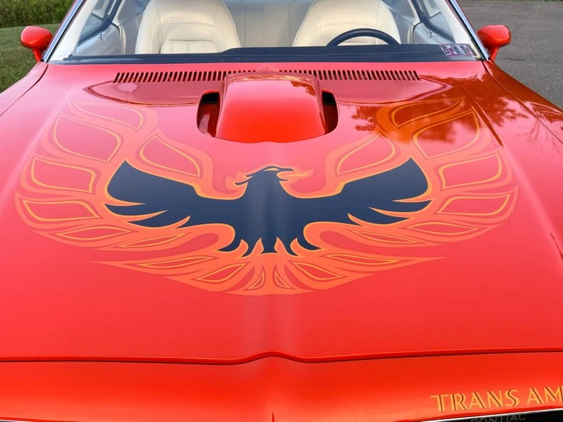 1976 Pontiac Firebird Trans Am 2nd Gen - Image 10 of 31