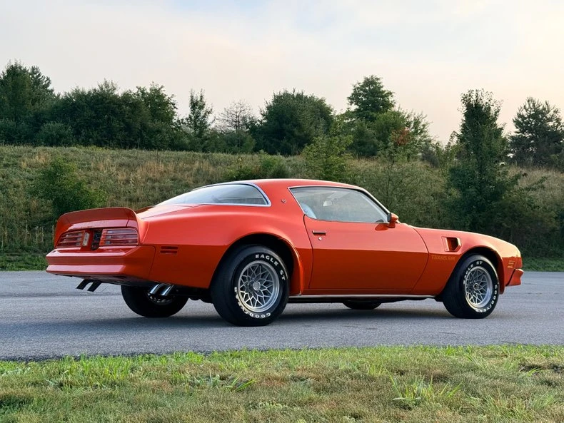 1976 Pontiac Firebird Trans Am 2nd Gen - Image 6 of 31