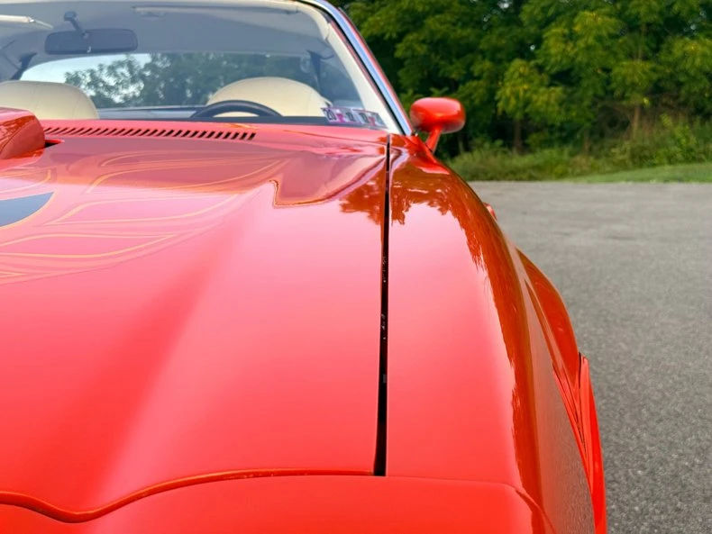 1976 Pontiac Firebird Trans Am 2nd Gen - Image 11 of 31