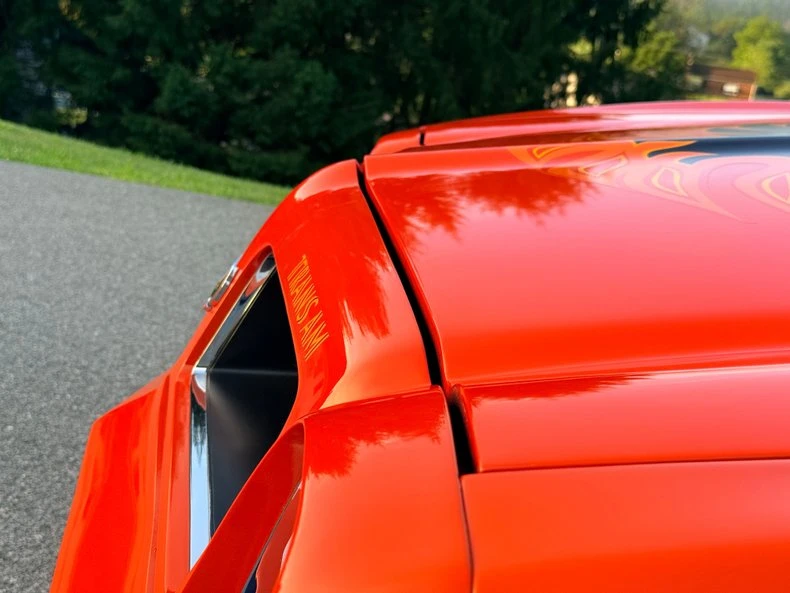 1976 Pontiac Firebird Trans Am 2nd Gen - Image 12 of 31